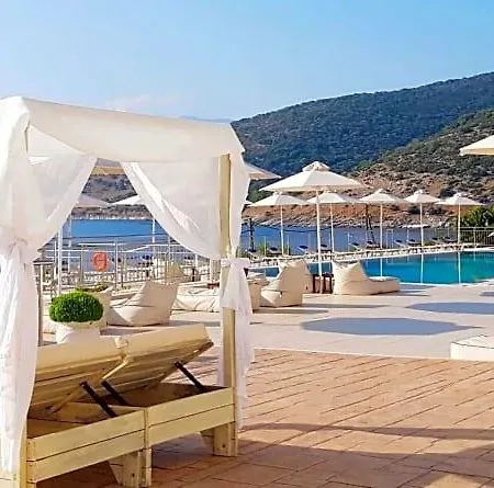 Odyssey Hotel